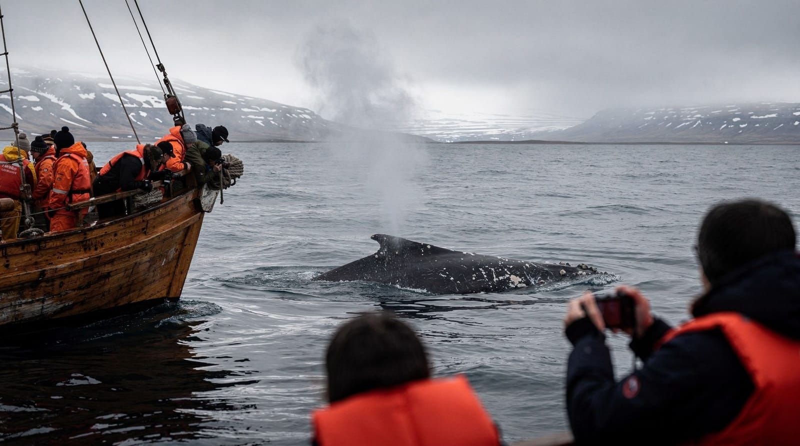 Whale watching a Húsavík — un diario — Whale watching da Húsavík — le barche, le megattere, la realtà del mal di mare, 
