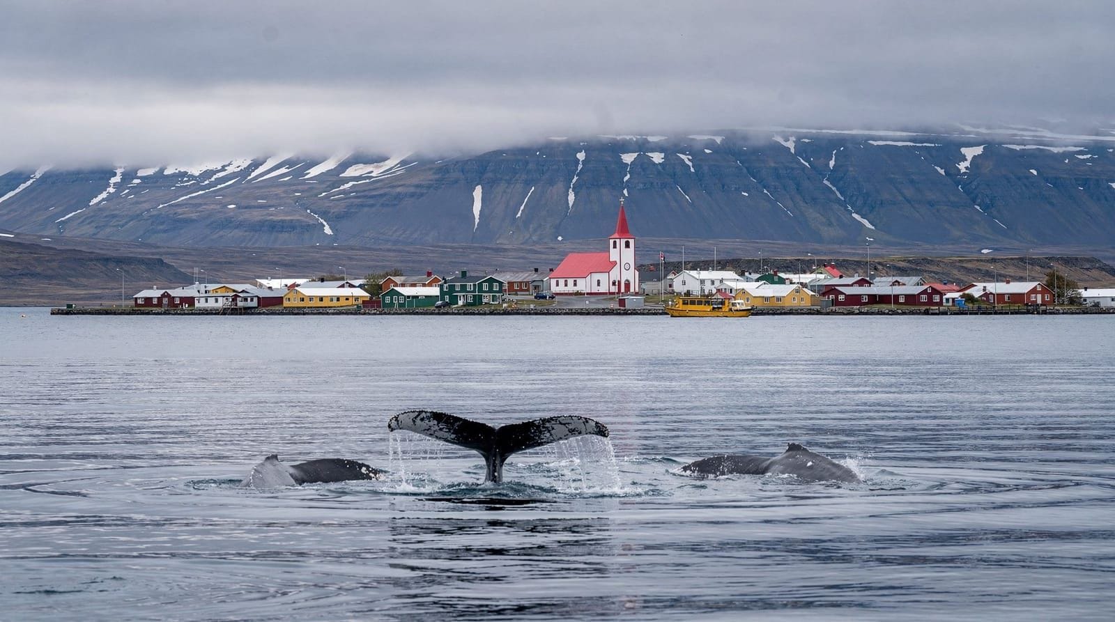 Guía de viaje de Húsavík