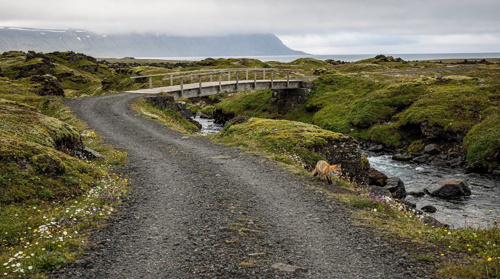 Éviter les foules en Islande — timing, tactiques et alternatives